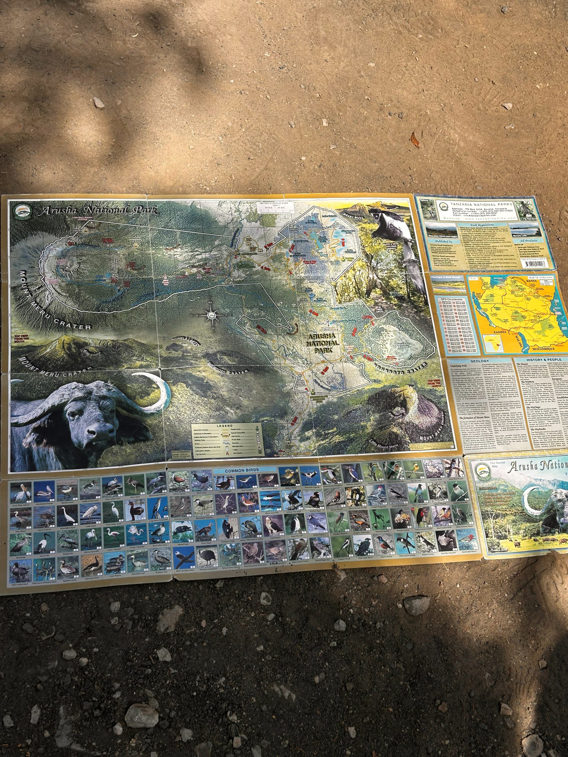 Arusha National Park map spread on the ground